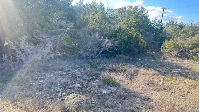 a view of a dry yard with trees in the background