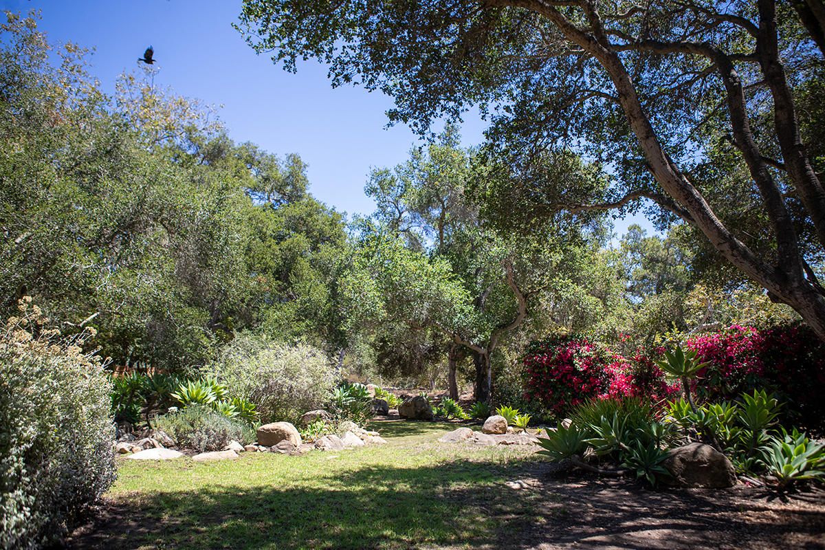 2948 Torito Road Montecito, CA 93108 - Photo 21 of 25 a view of a tree in a yard