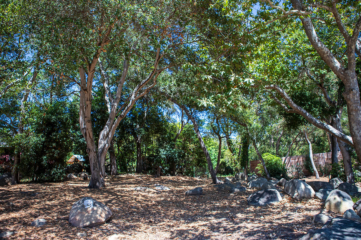 2948 Torito Road Montecito, CA 93108 - Photo 22 of 25 a wooden bench with trees in the background