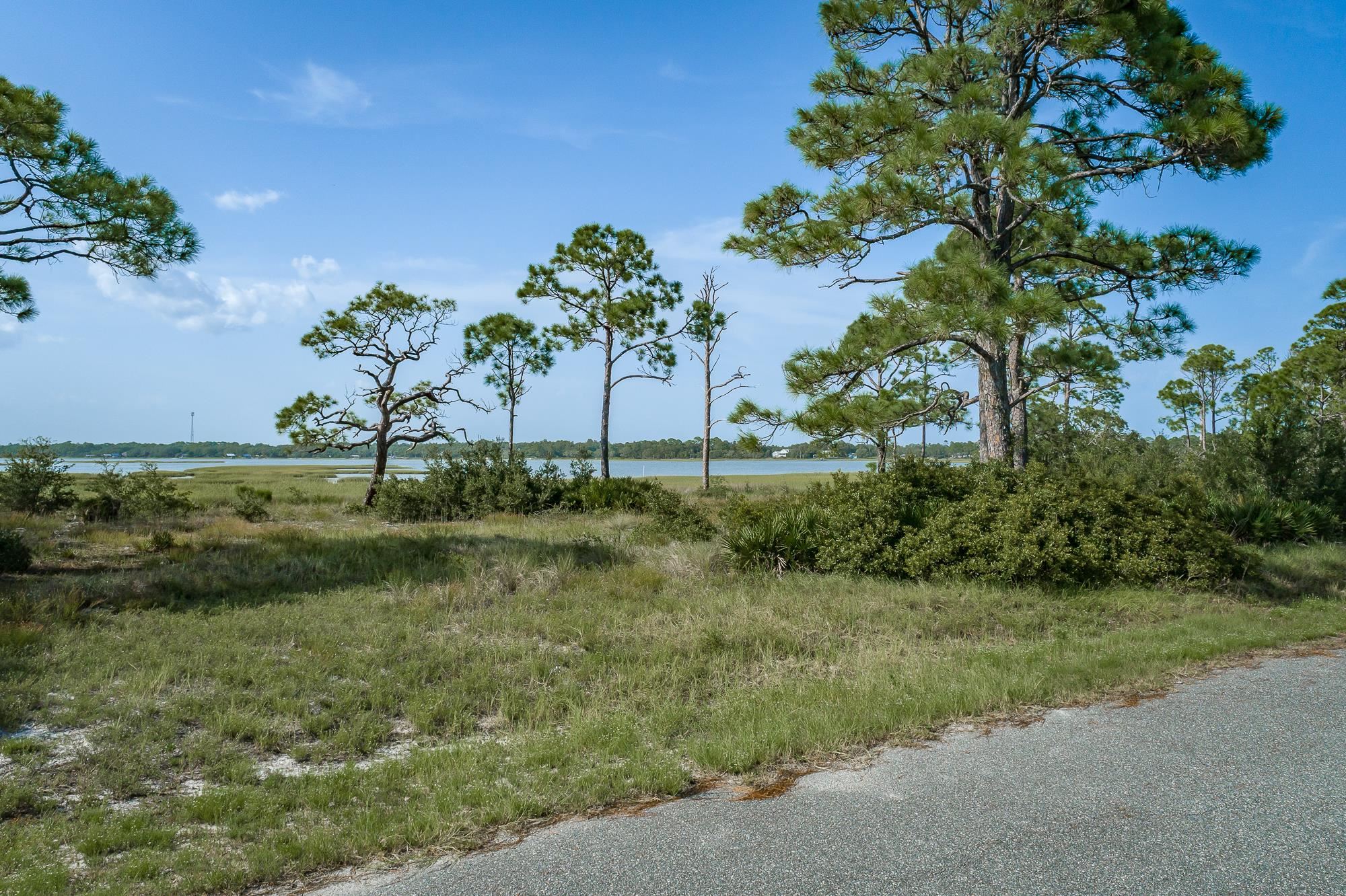 259 Hidden Harbor Drive Alligator Point, FL 32346 - Photo 6 of 7