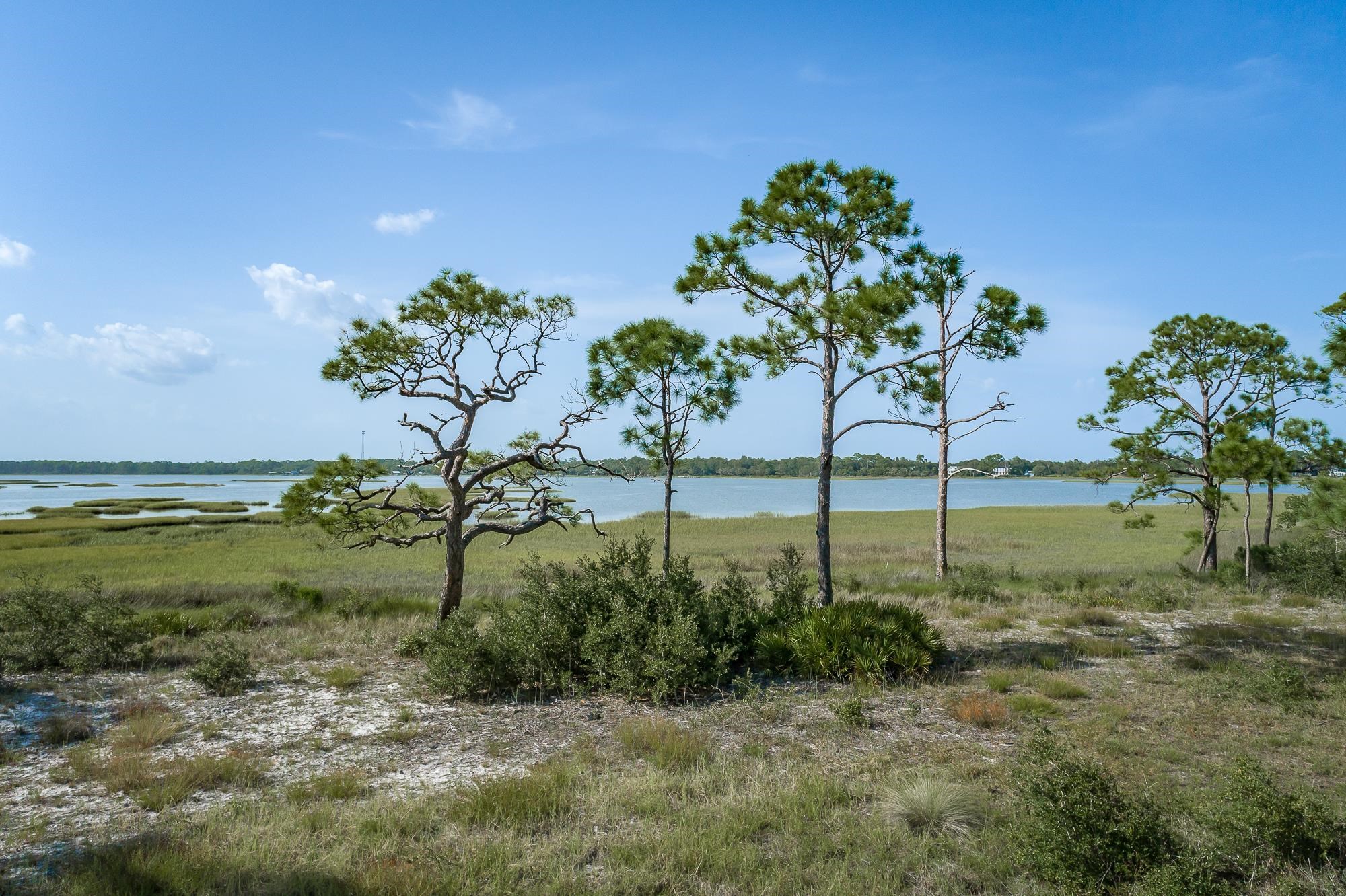 259 Hidden Harbor Drive Alligator Point, FL 32346 - Photo 7 of 7