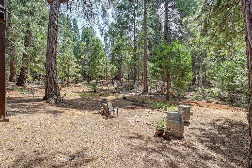 23750 Fiddletown Road Volcano, CA 95689 - Photo 58 of 60 Gallery Image 58