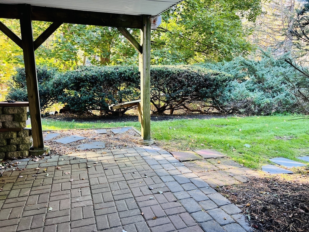 135 Walker Pond Road Sturbridge, MA 01566 - Photo 15 of 16 a view of a yard with plants and large trees