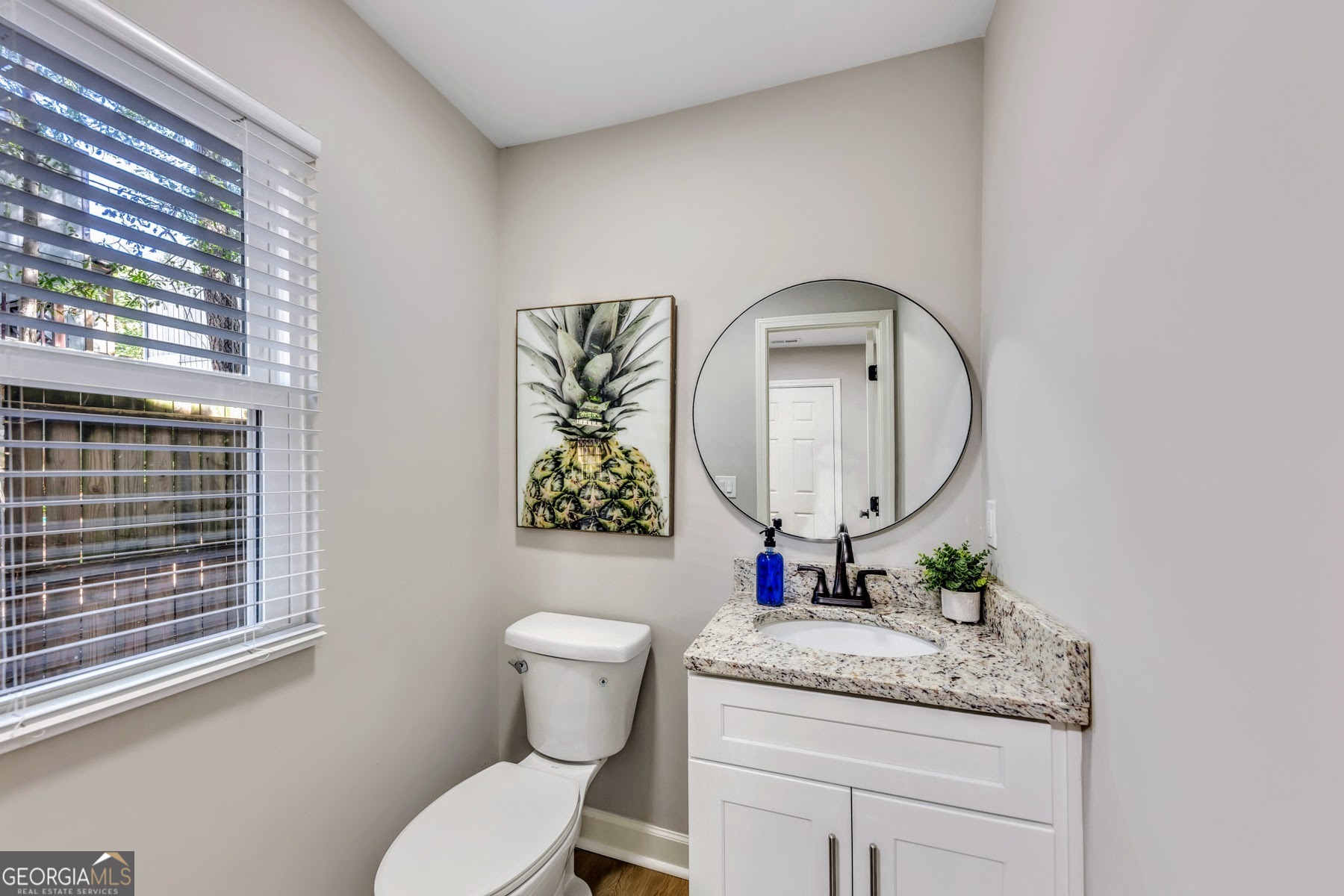 1018 Falling Valley Court Southeast Smyrna, GA 30080 - Photo 10 of 25 a bathroom with a granite countertop toilet a sink and mirror