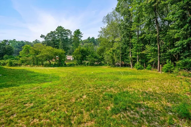 a view of a field with trees in the background
