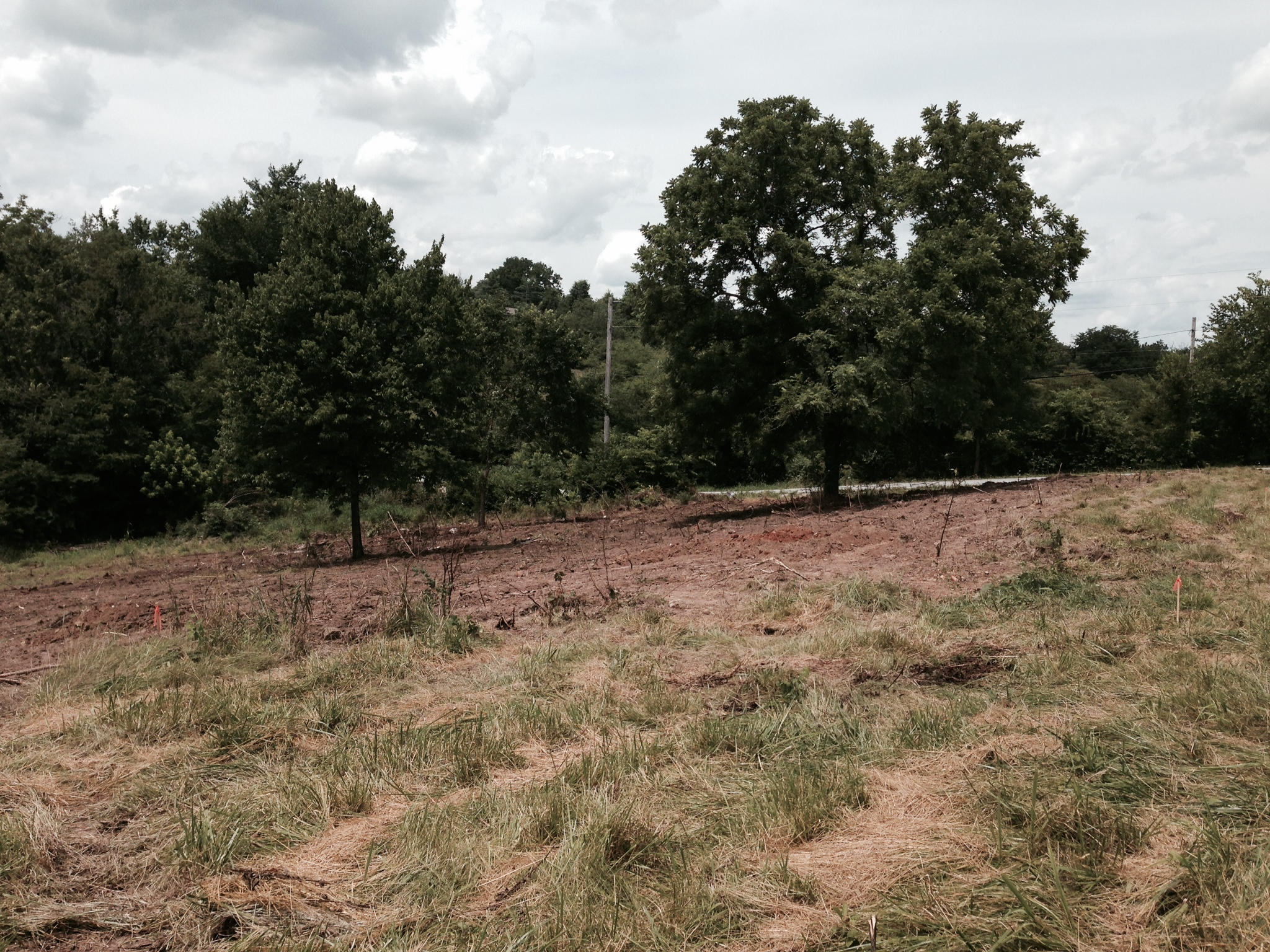 0 Colombo Road Ozark, MO 65721 - Photo 1 of 1 Colombo 4
