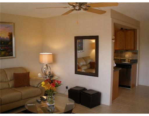 4050 Cornwall C, Unit 4050 Boca Raton, FL 33434 - Photo 8 of 15 Additional Photo