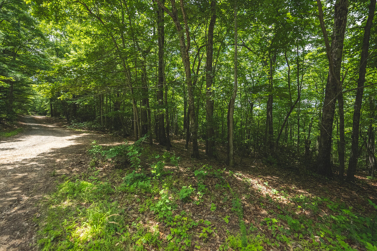 0 Lee Elgin Road Stuart, VA 24171 - Photo 6 of 10 a view of outdoor space with lots of trees
