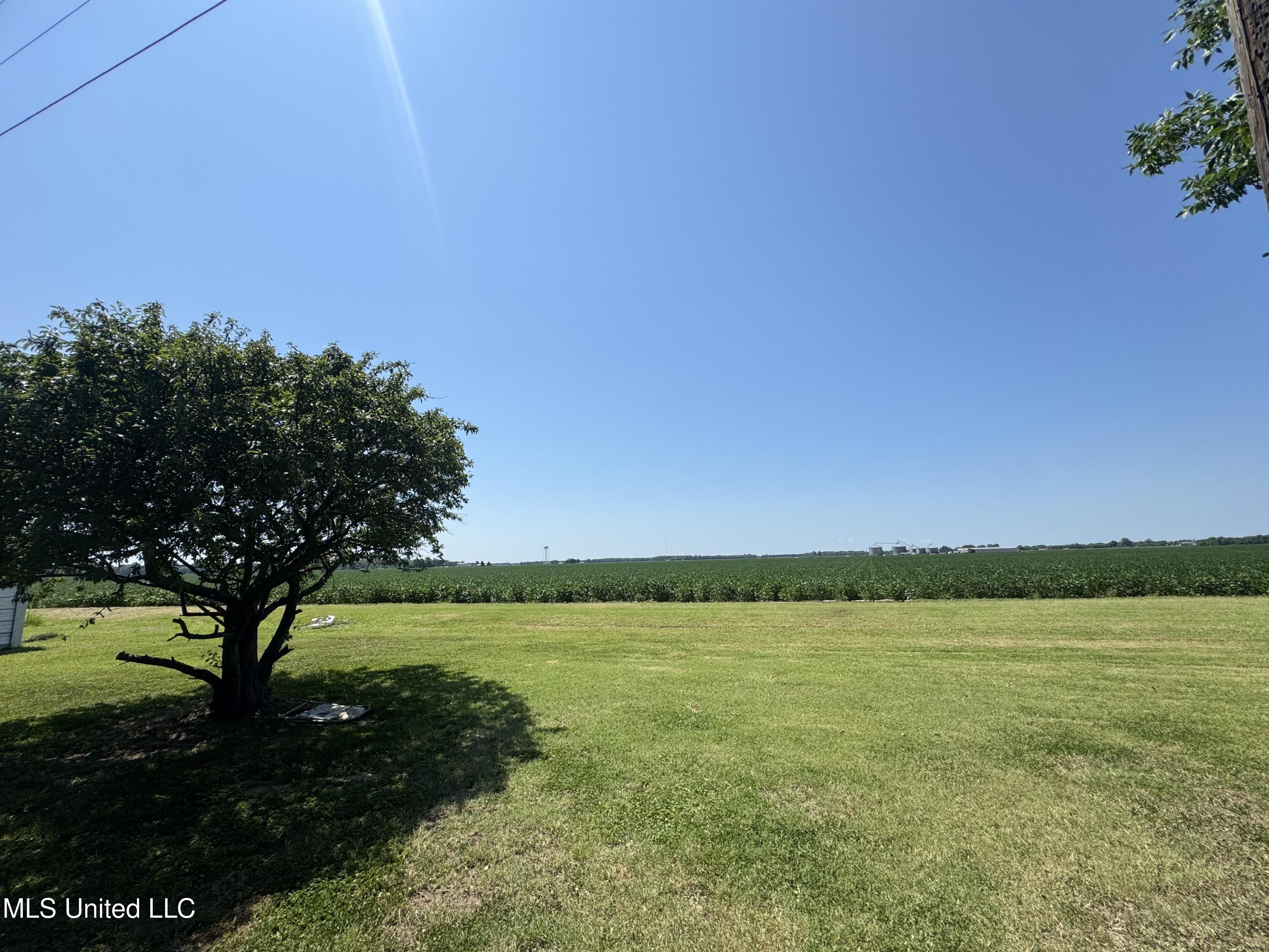 367 Lampard Road Cleveland, MS 38732 - Photo 12 of 51 IMG_3169