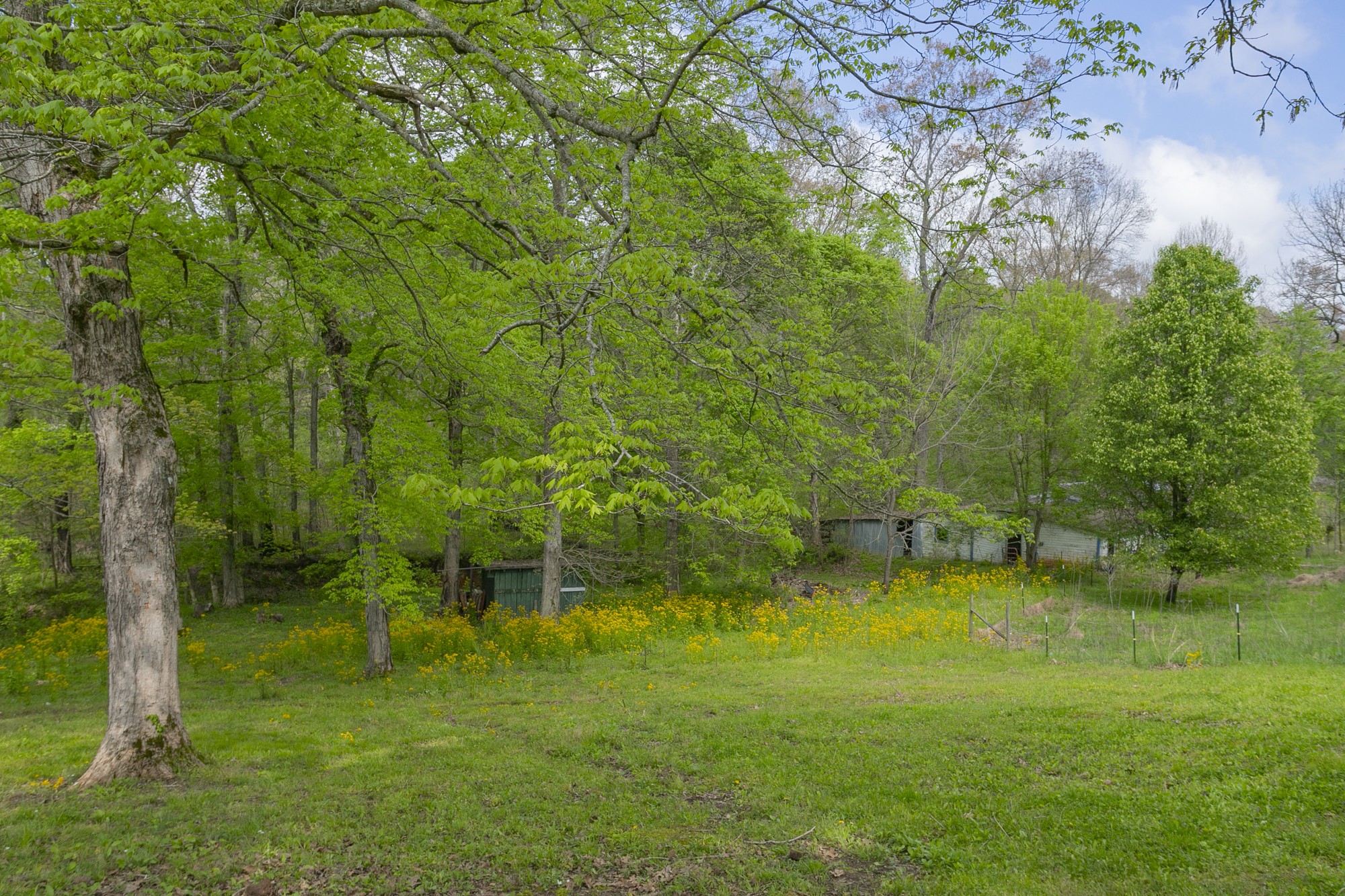 1322 Garrettsburg Road Clarksville, TN 37042 - Photo 24 of 27 Gallery Image 24