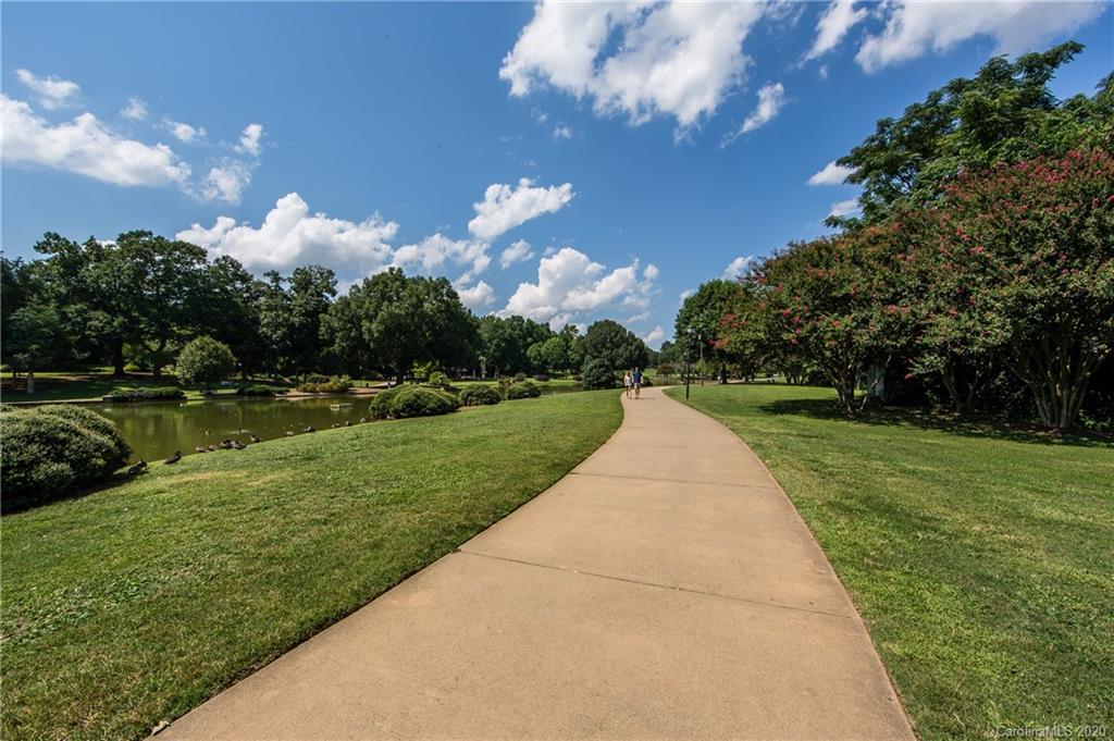 1501 Lilac Road Charlotte, NC 28209 - Photo 19 of 21 a view of a park with large trees