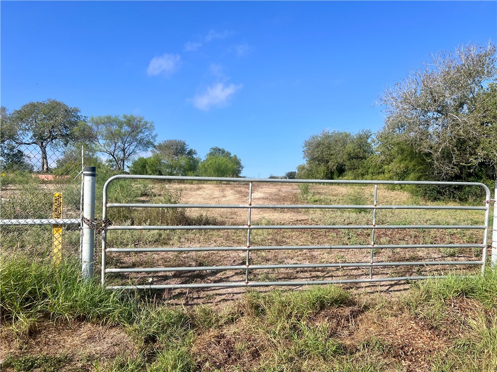 a view of outdoor space with swimming pool and trees in the background