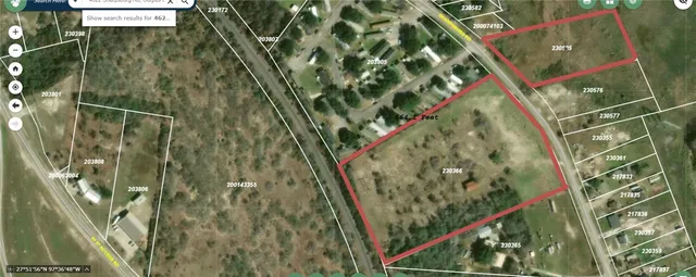 a close up of a plant