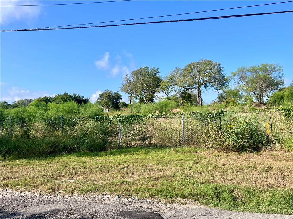 4609 Sharpsburg Road Corpus Christi, TX 78410 - Photo 3 of 4 a view of a yard