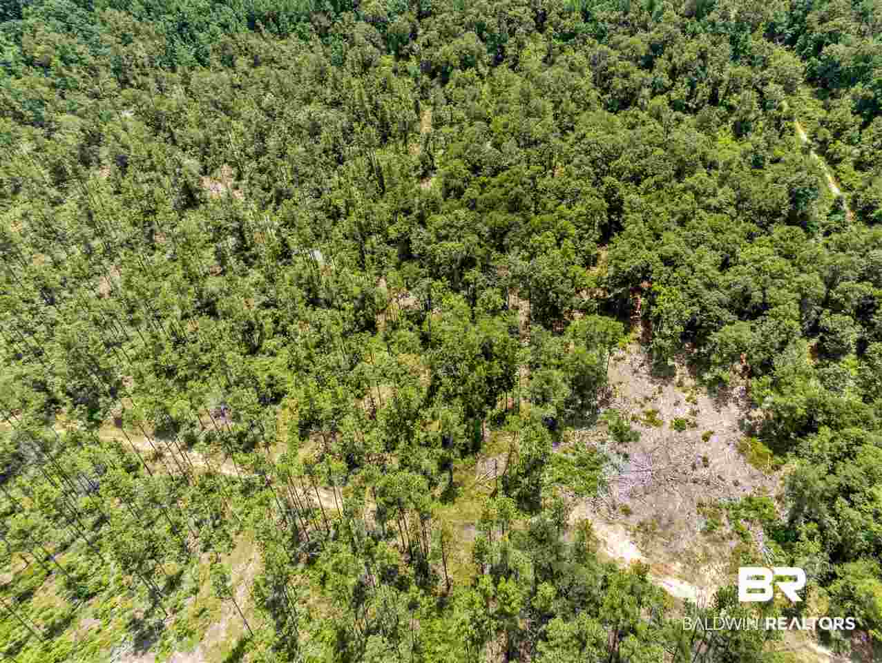 120 Paul Road Bay Minette, AL 36507 - Photo 10 of 11