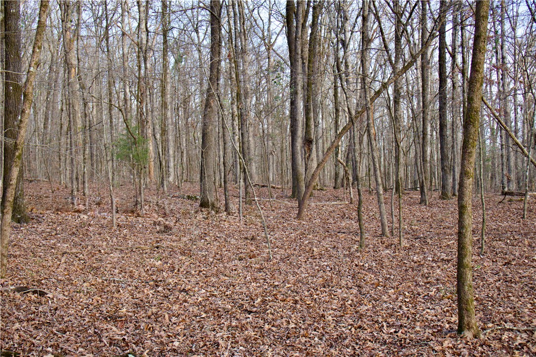 22.37 /- Acres Price Road Winslow, AR 72959 - Photo 28 of 60 Gallery Image 28