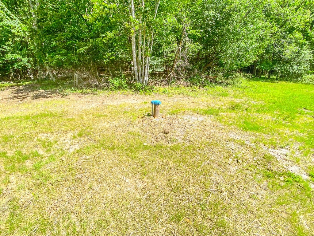 1875 Loafers Rest Road Austinville, VA 24312 - Photo 16 of 19 Gallery Image 16