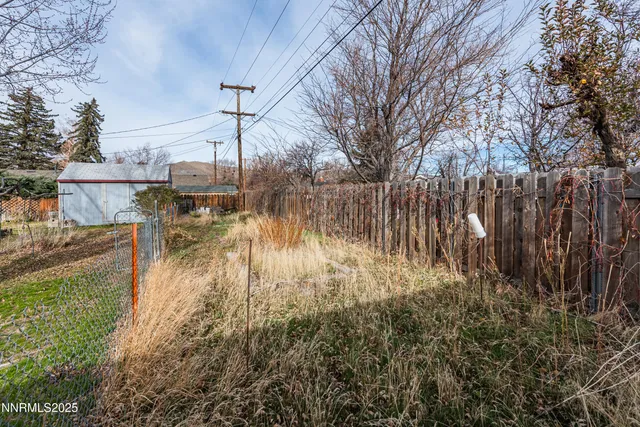 a view of river covered by trees