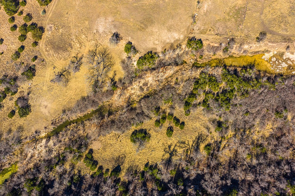 166 Dittmar Creek Road Harper, TX 78631 - Photo 11 of 26