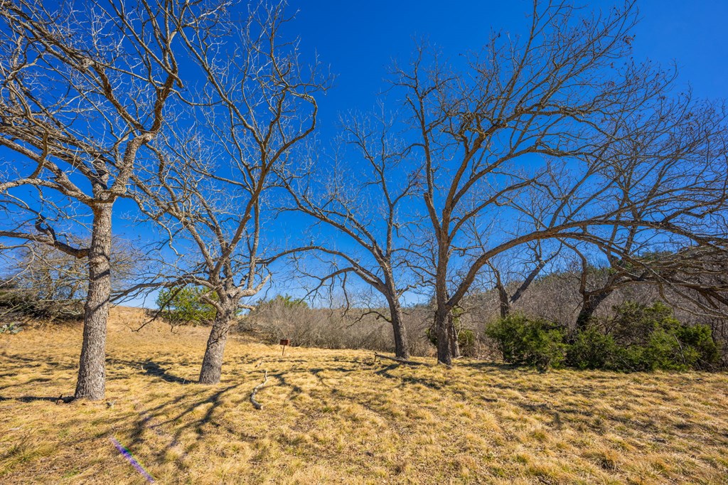 166 Dittmar Creek Road Harper, TX 78631 - Photo 14 of 26