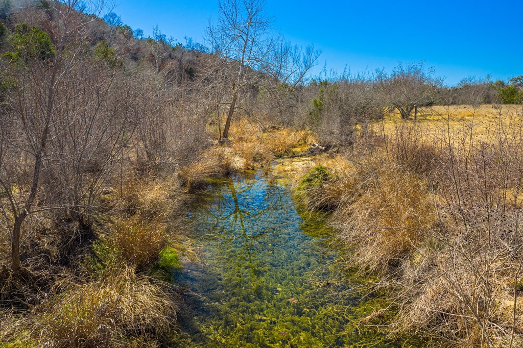 166 Dittmar Creek Road Harper, TX 78631 - Photo 3 of 26
