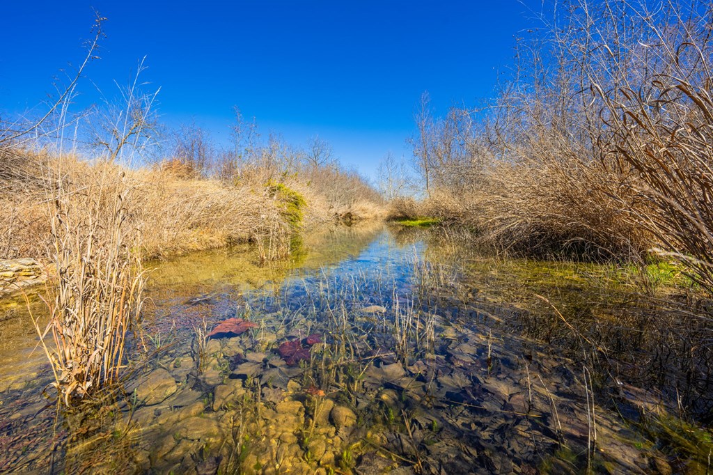 166 Dittmar Creek Road Harper, TX 78631 - Photo 4 of 26