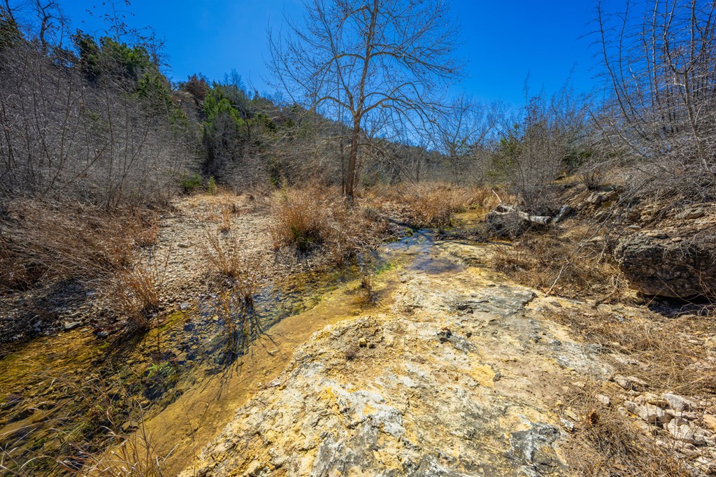 166 Dittmar Creek Road Harper, TX 78631 - Photo 9 of 26