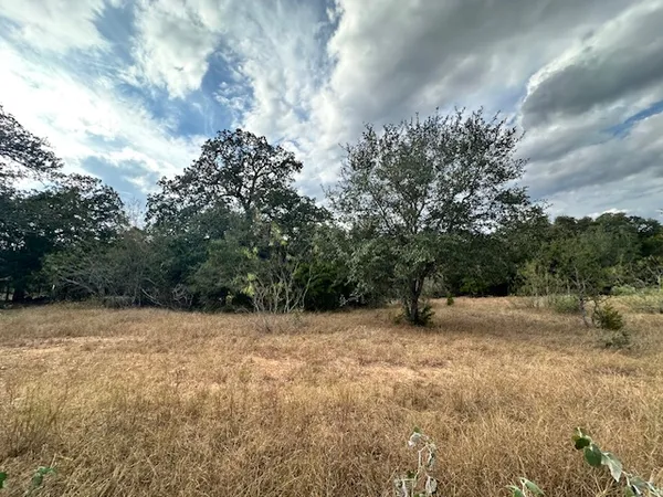 a view of outdoor space with trees