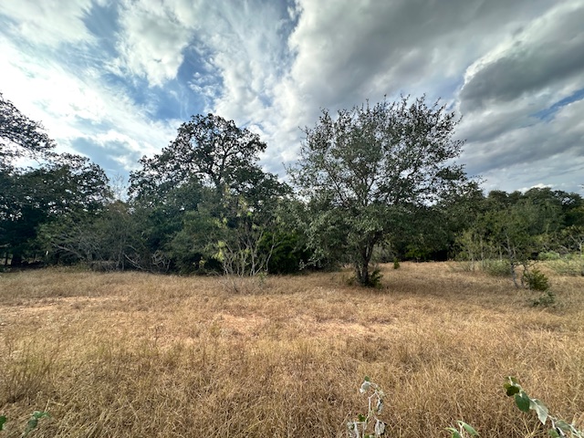 a view of outdoor space with trees