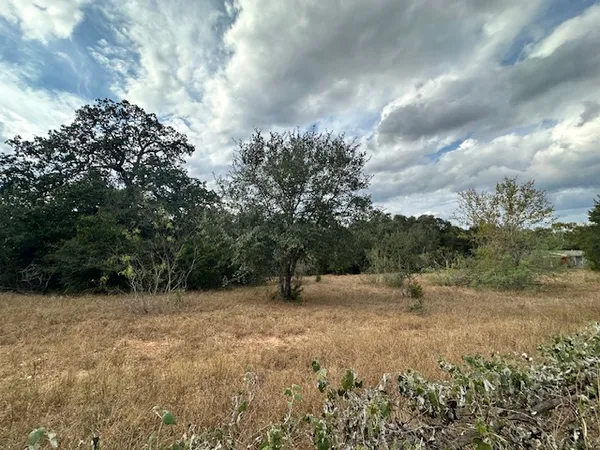 a view of outdoor space with trees all around