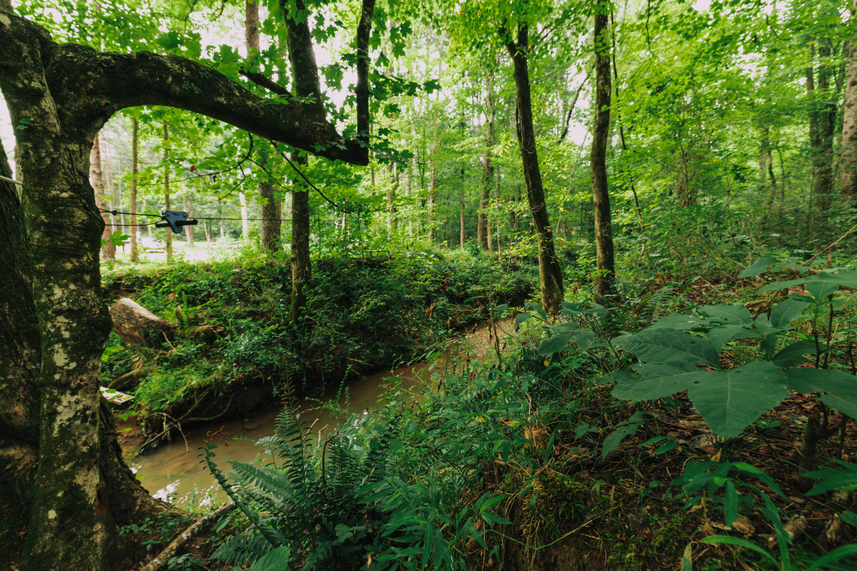 3362 West Cove Road Chickamauga, GA 30707 - Photo 22 of 39 _G0A7863