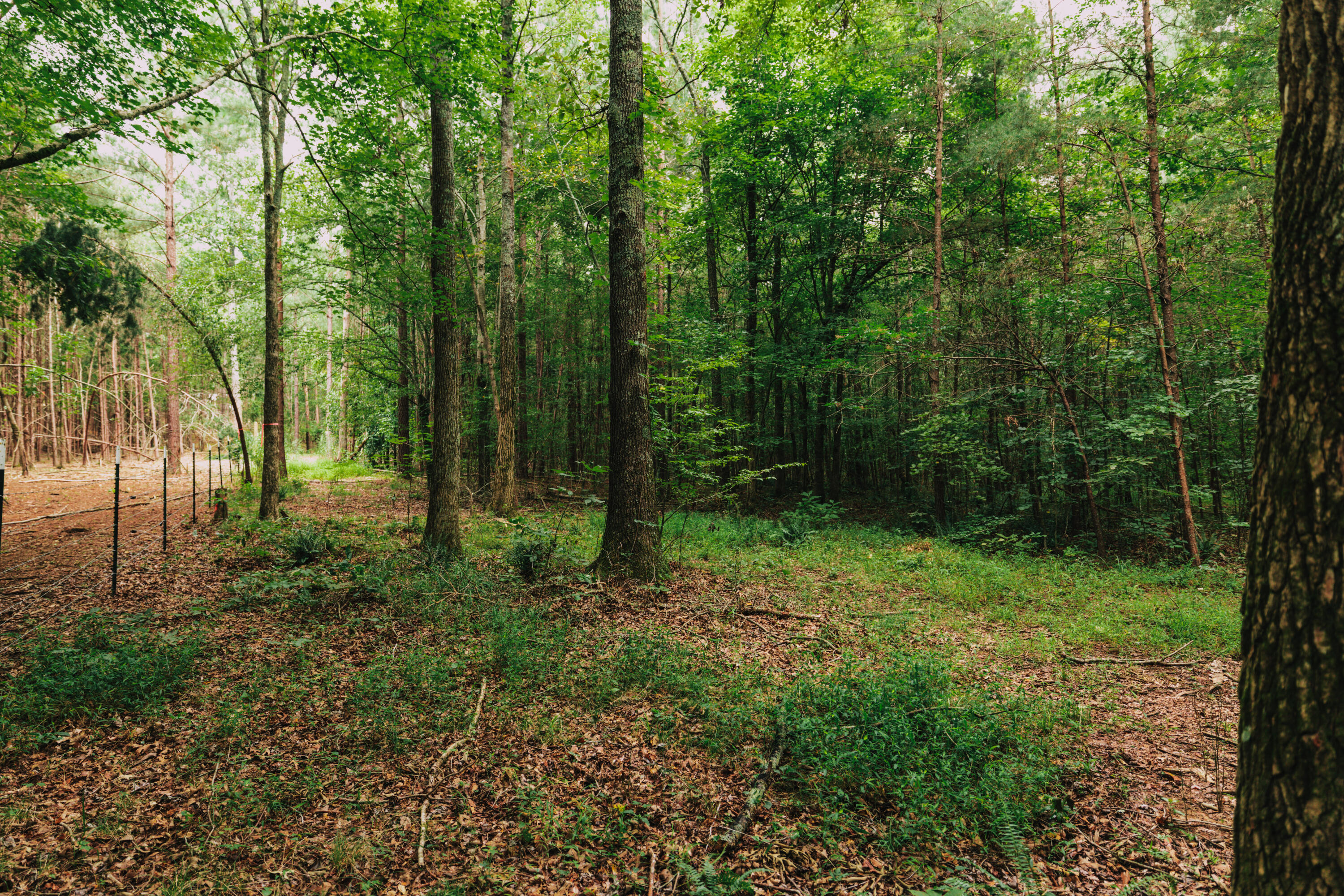 3362 West Cove Road Chickamauga, GA 30707 - Photo 25 of 39 4G0A7872