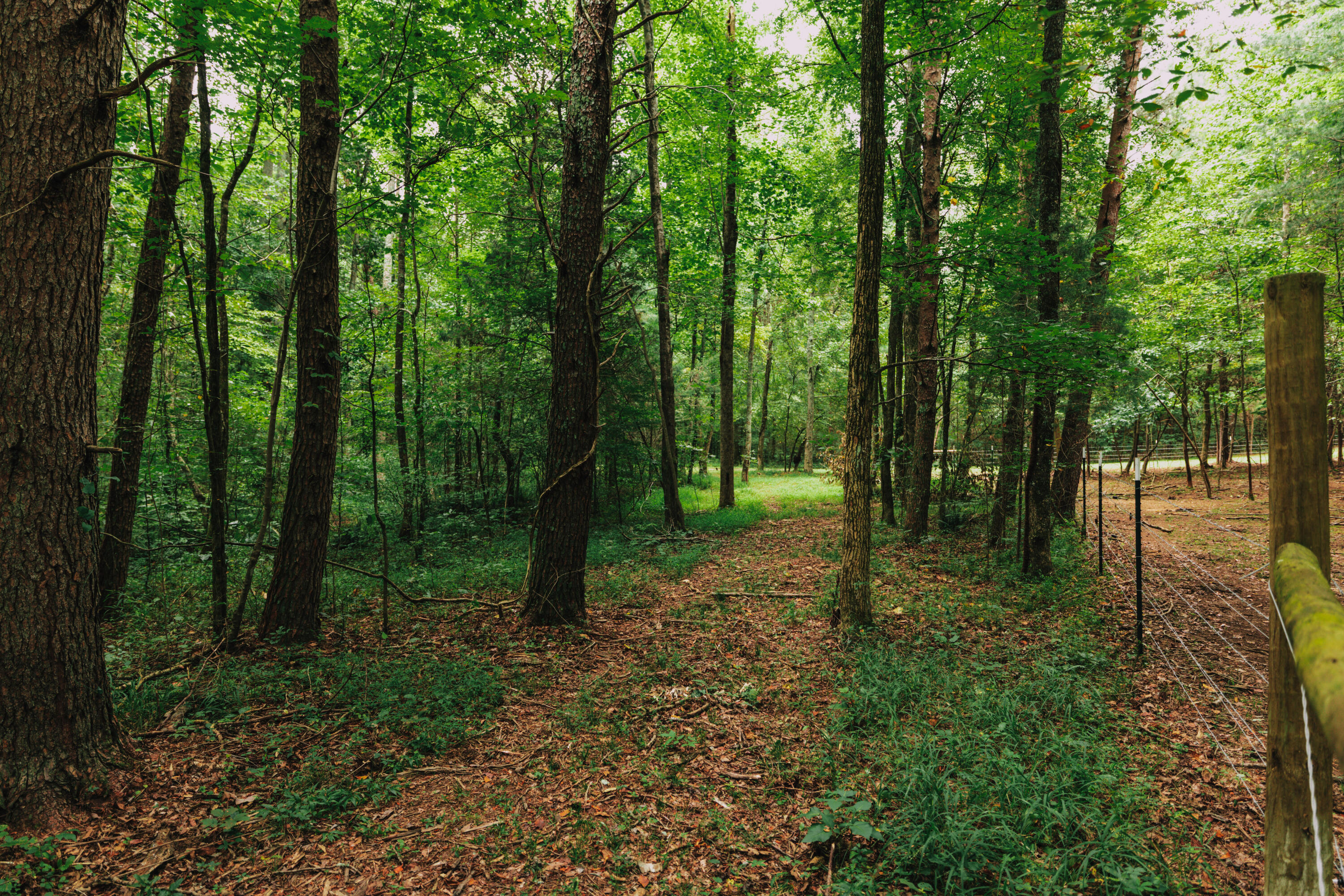 3362 West Cove Road Chickamauga, GA 30707 - Photo 26 of 39 4G0A7873