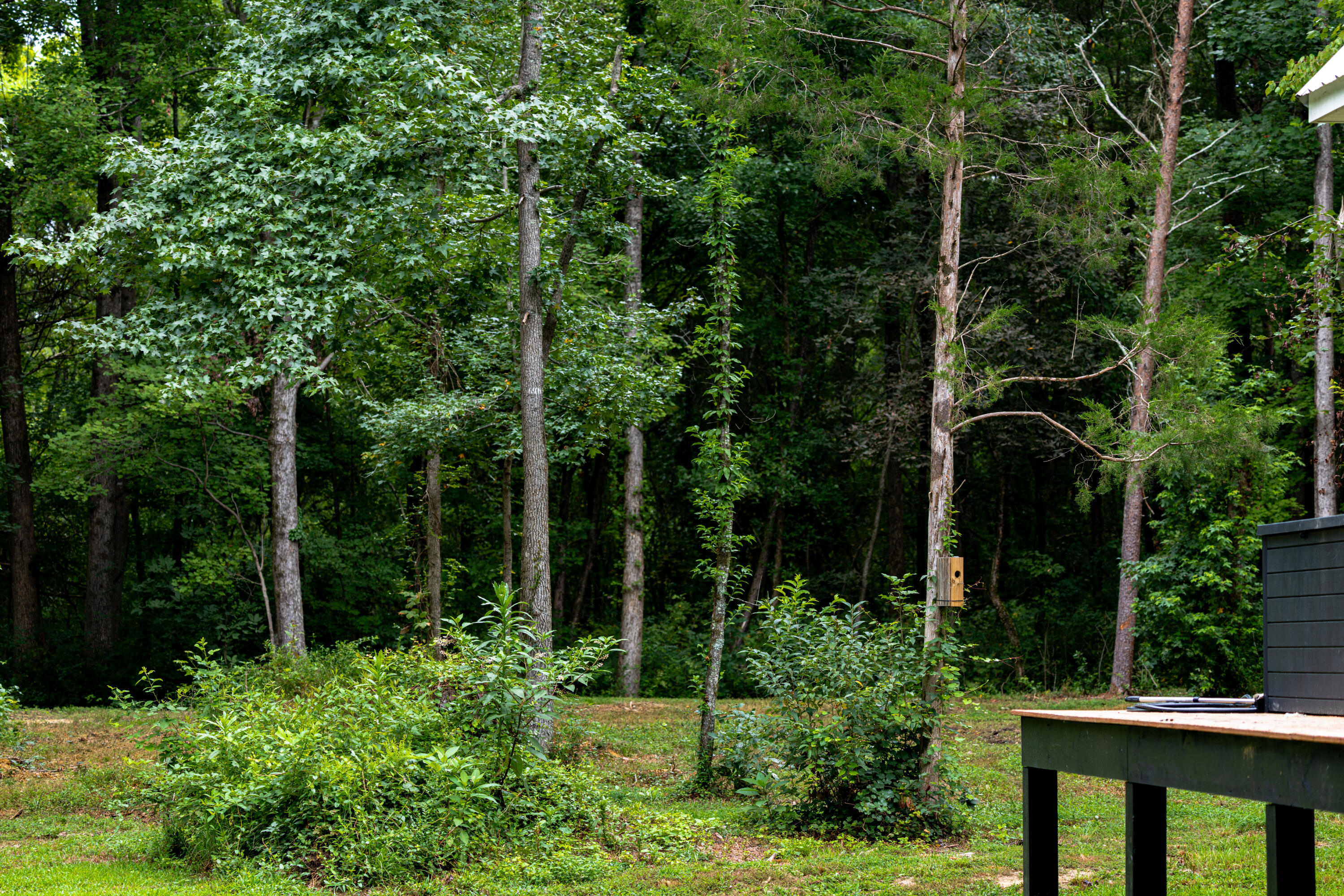 3362 West Cove Road Chickamauga, GA 30707 - Photo 30 of 39 4G0A7880