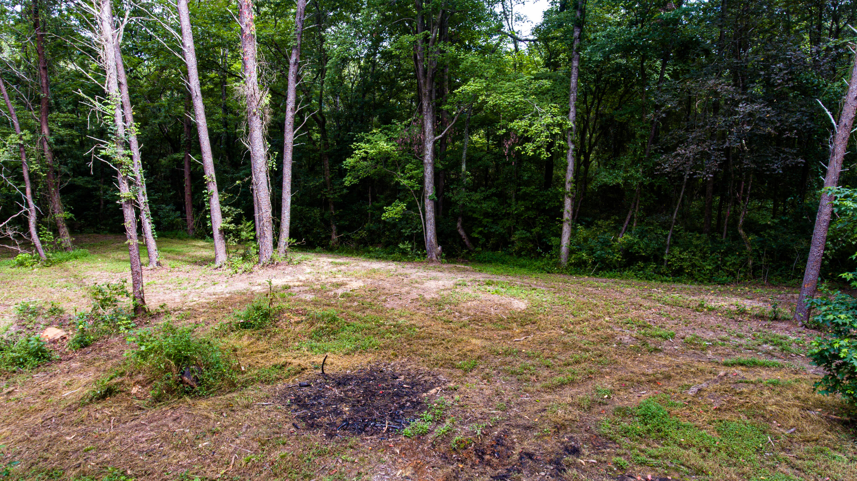 3362 West Cove Road Chickamauga, GA 30707 - Photo 32 of 39 DJI_0150