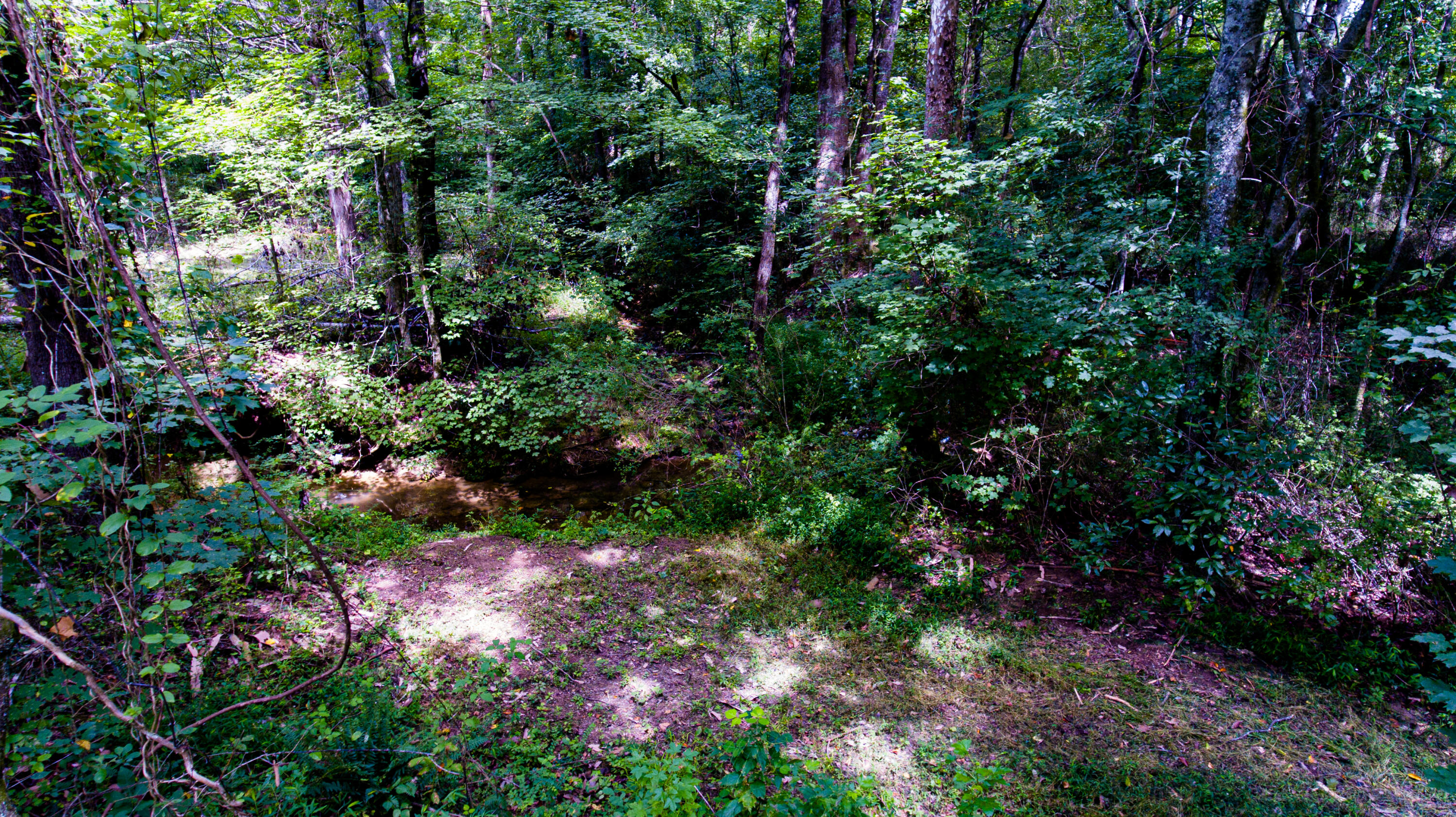 3362 West Cove Road Chickamauga, GA 30707 - Photo 33 of 39 DJI_0151