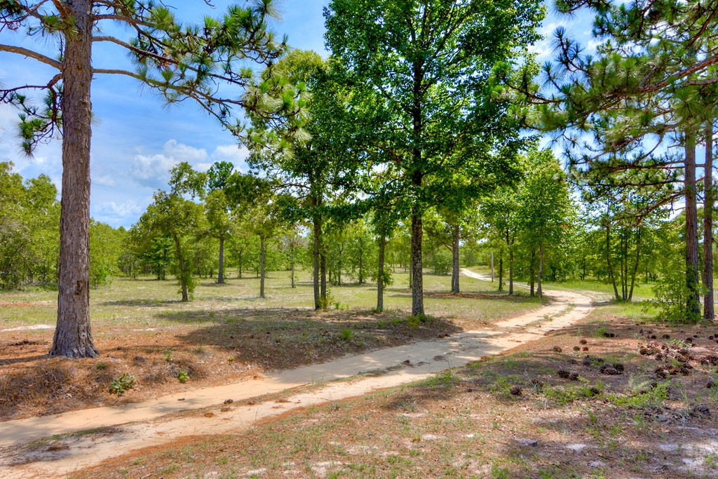 699 Pittman Place Windsor, SC 29856 - Photo 3 of 7