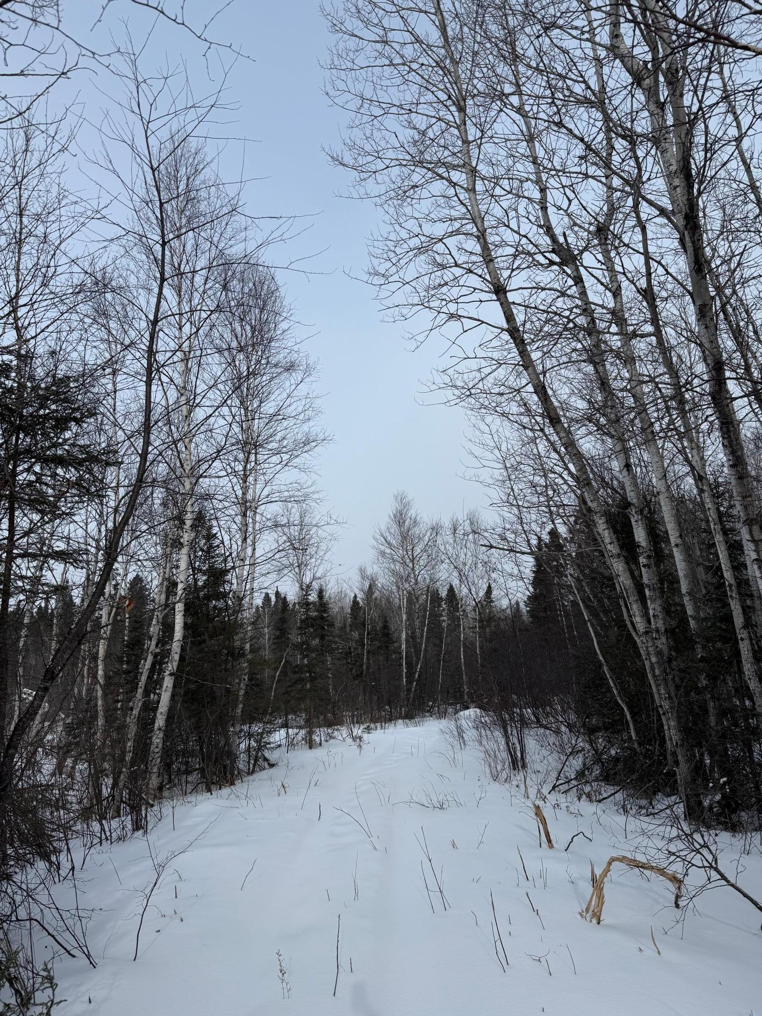 Xxx Zekes Road Schroeder, MN 55613 - Photo 11 of 38