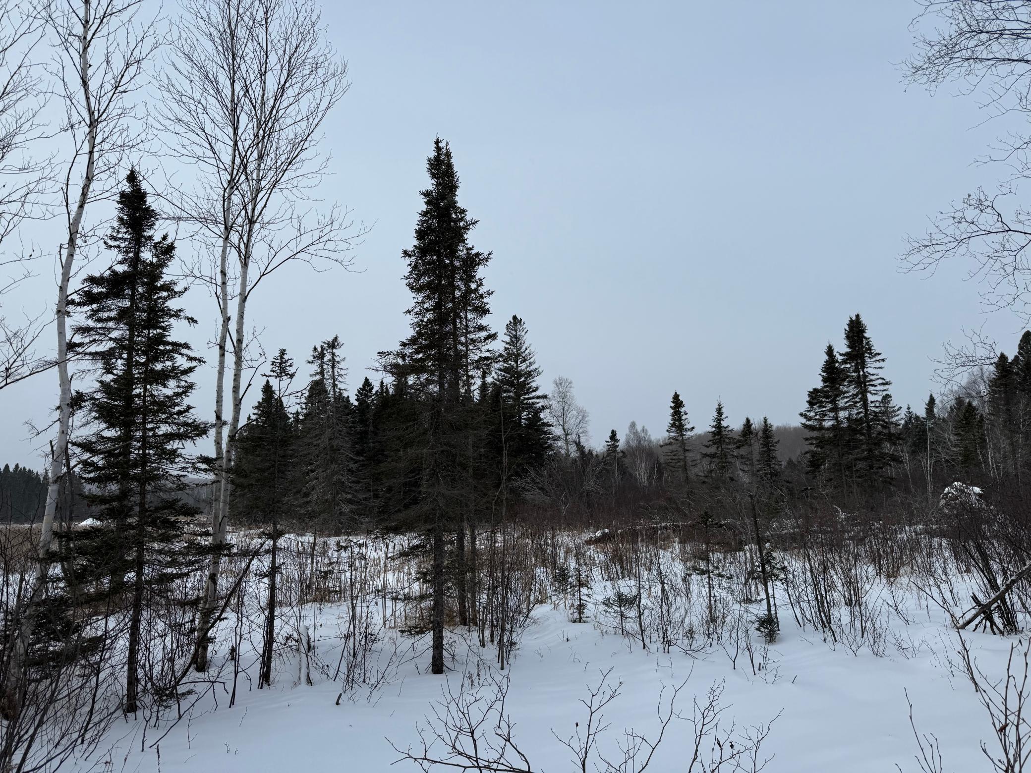 Xxx Zekes Road Schroeder, MN 55613 - Photo 12 of 38