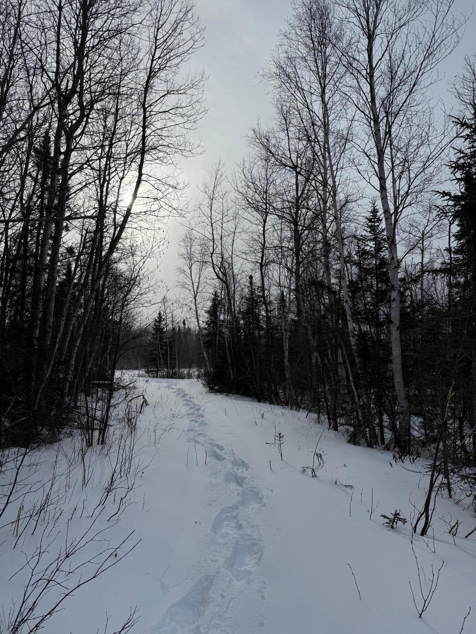 Xxx Zekes Road Schroeder, MN 55613 - Photo 13 of 38