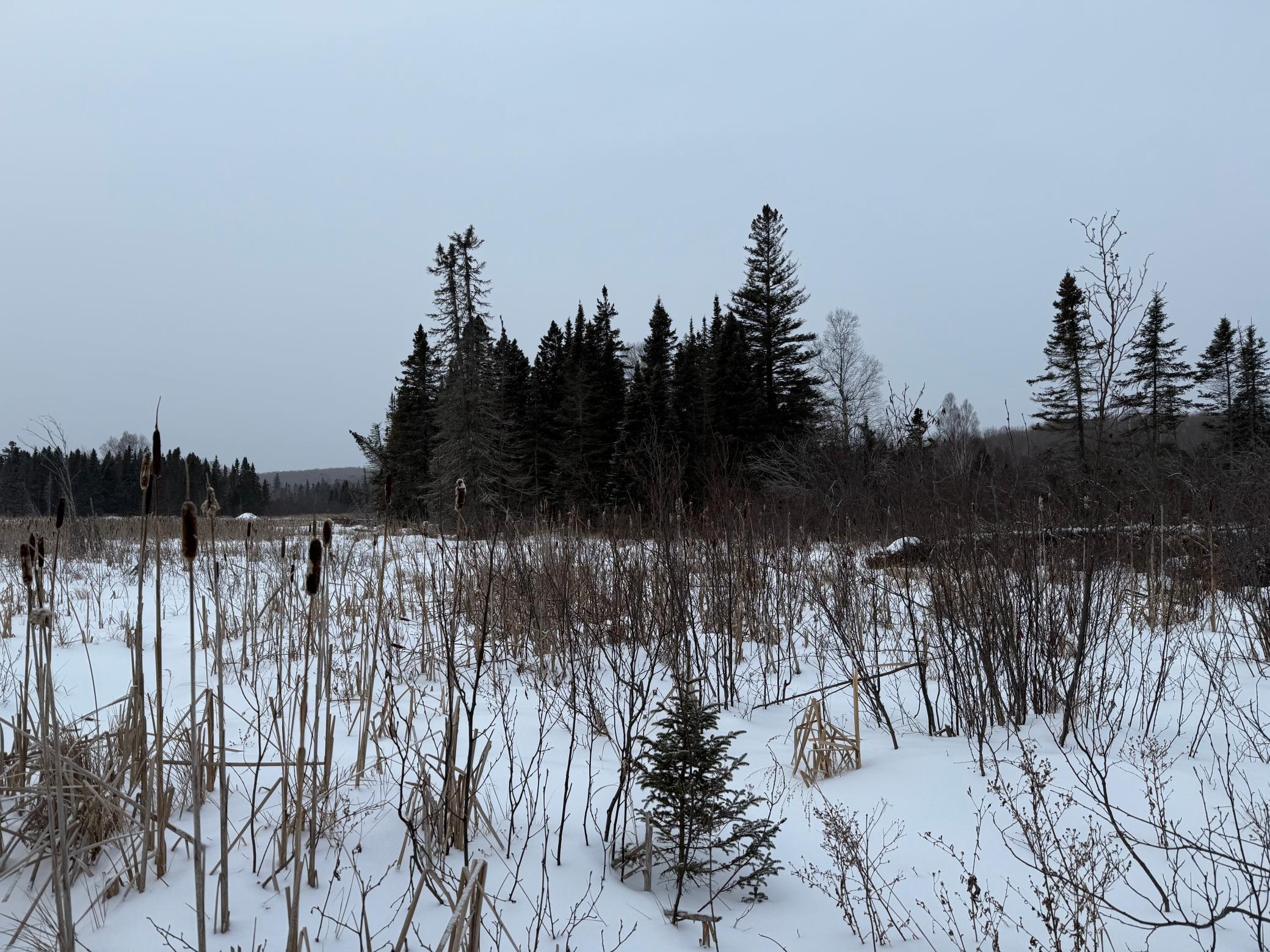 Xxx Zekes Road Schroeder, MN 55613 - Photo 16 of 38