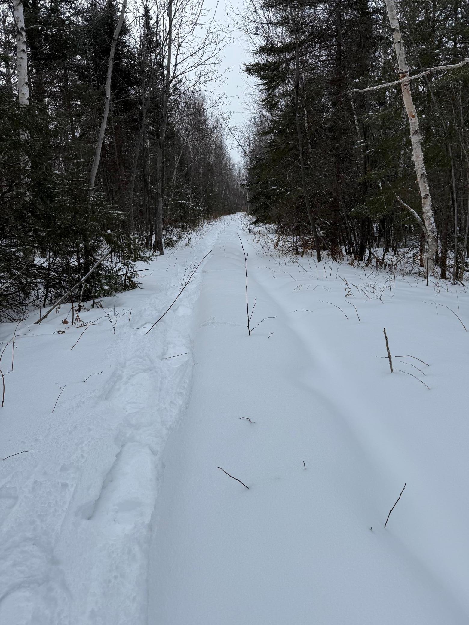 Xxx Zekes Road Schroeder, MN 55613 - Photo 17 of 38