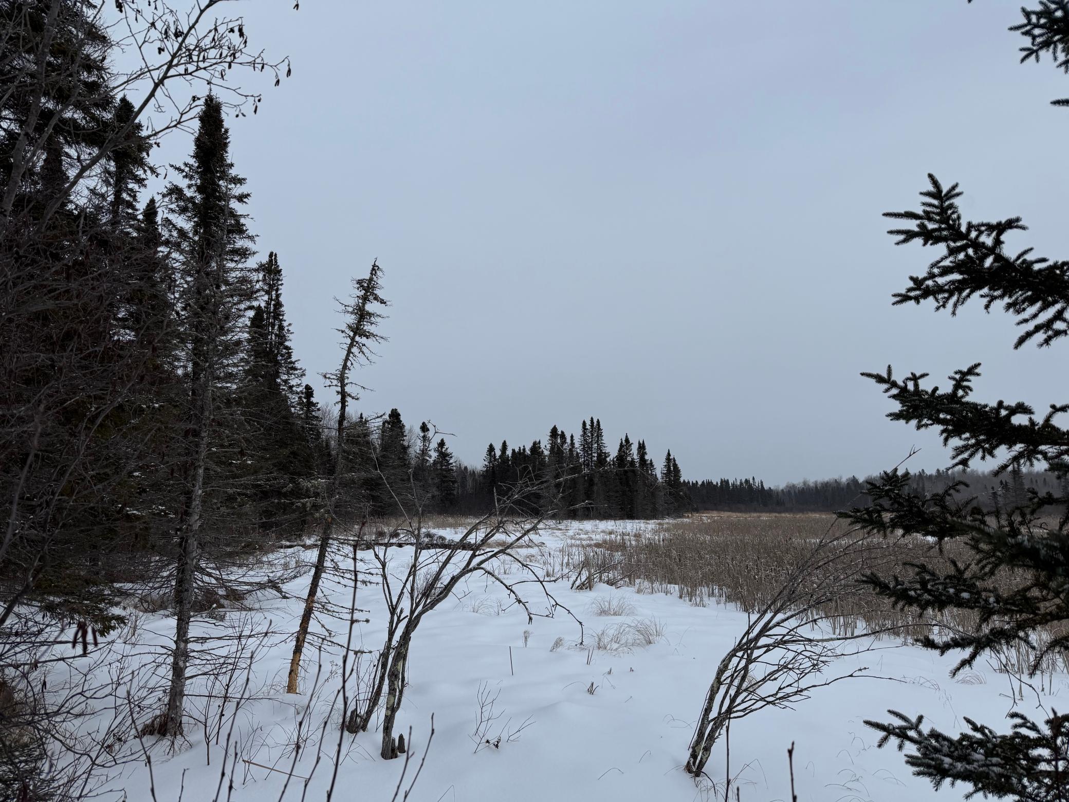 Xxx Zekes Road Schroeder, MN 55613 - Photo 21 of 38