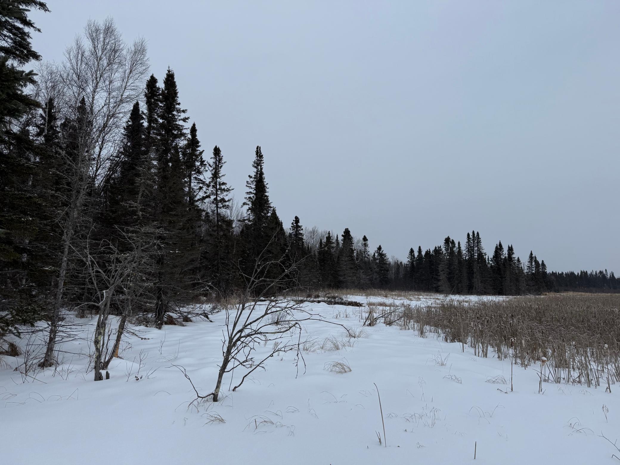 Xxx Zekes Road Schroeder, MN 55613 - Photo 23 of 38