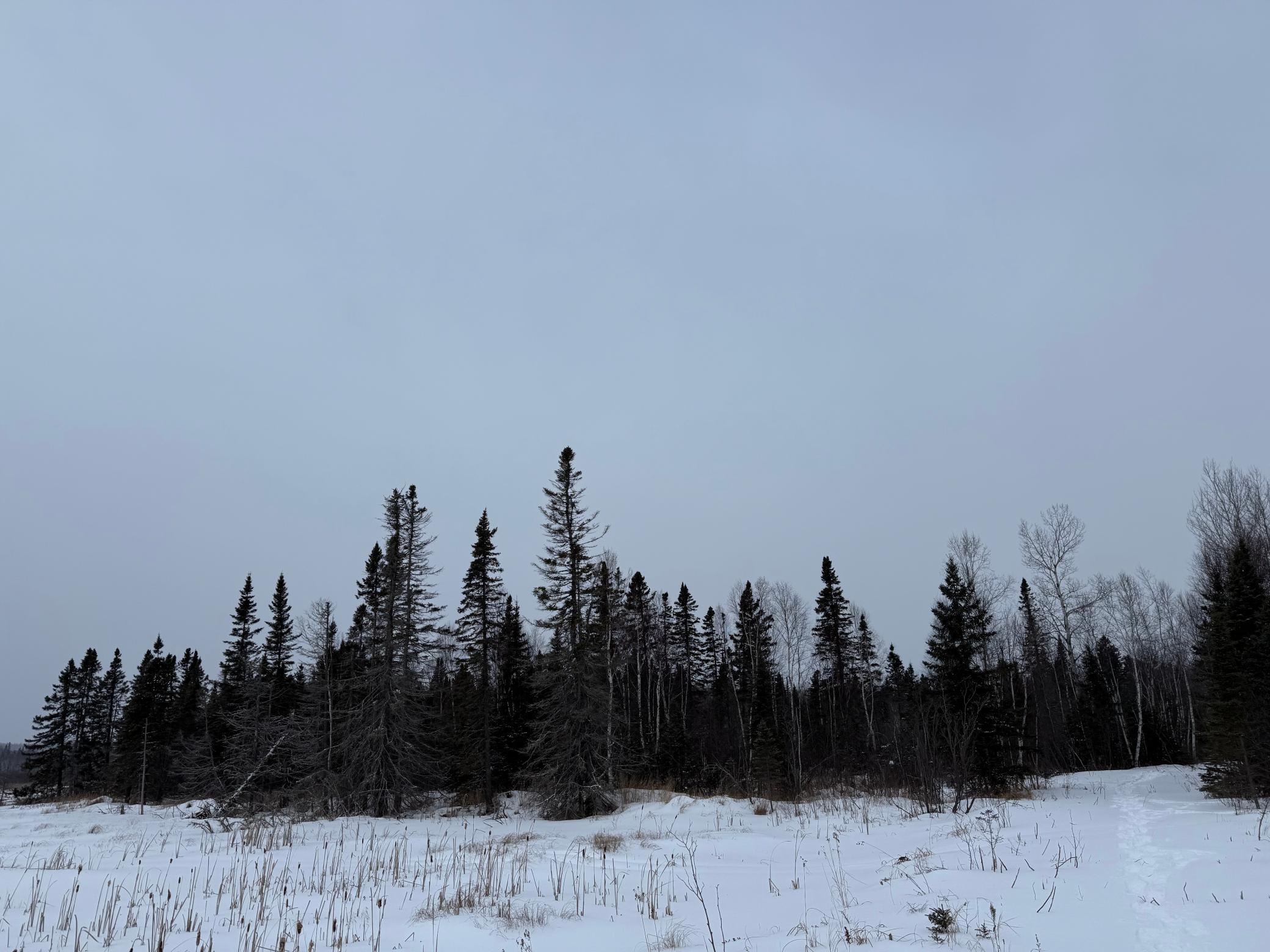 Xxx Zekes Road Schroeder, MN 55613 - Photo 28 of 38