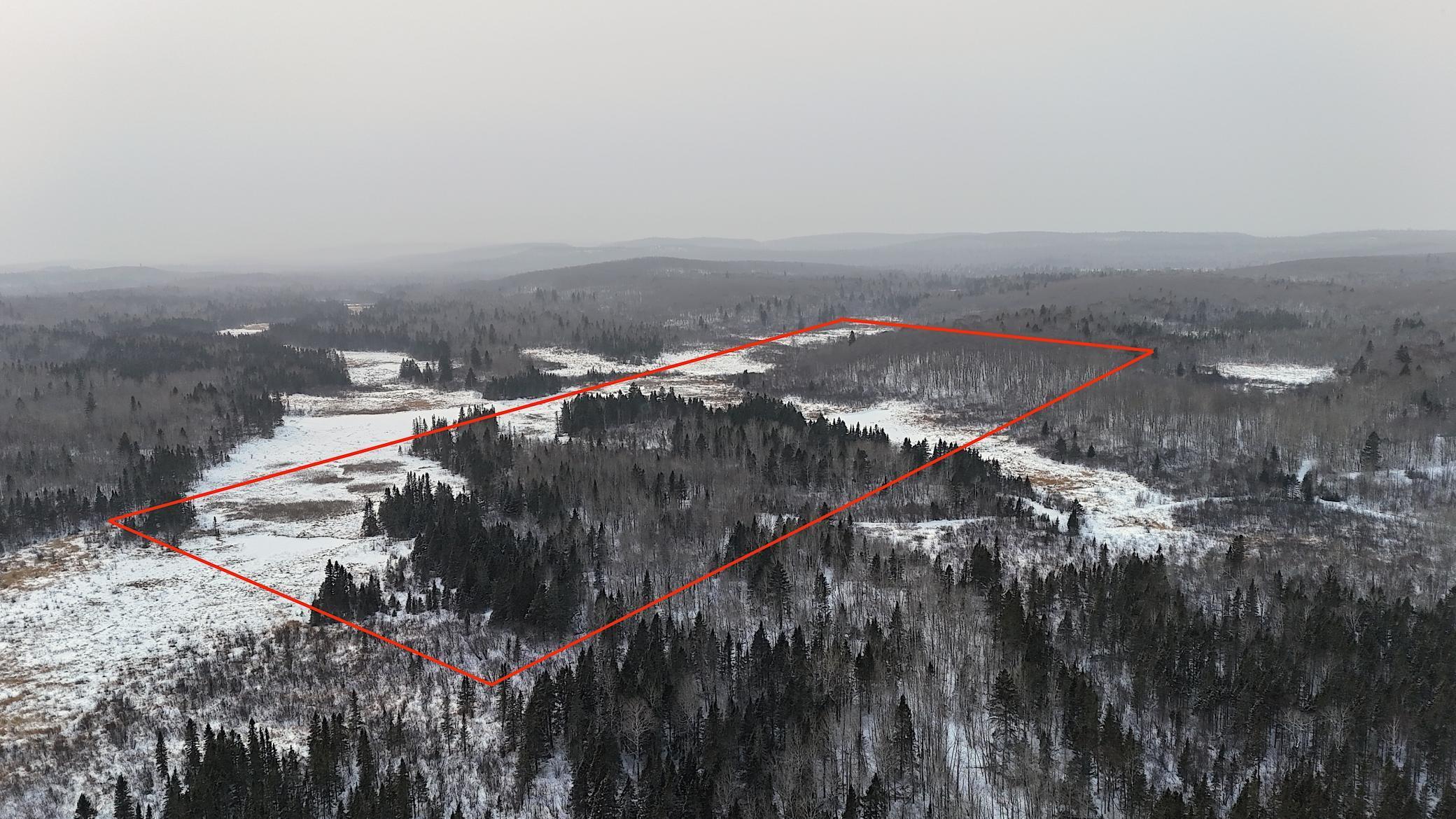 Xxx Zekes Road Schroeder, MN 55613 - Photo 3 of 38