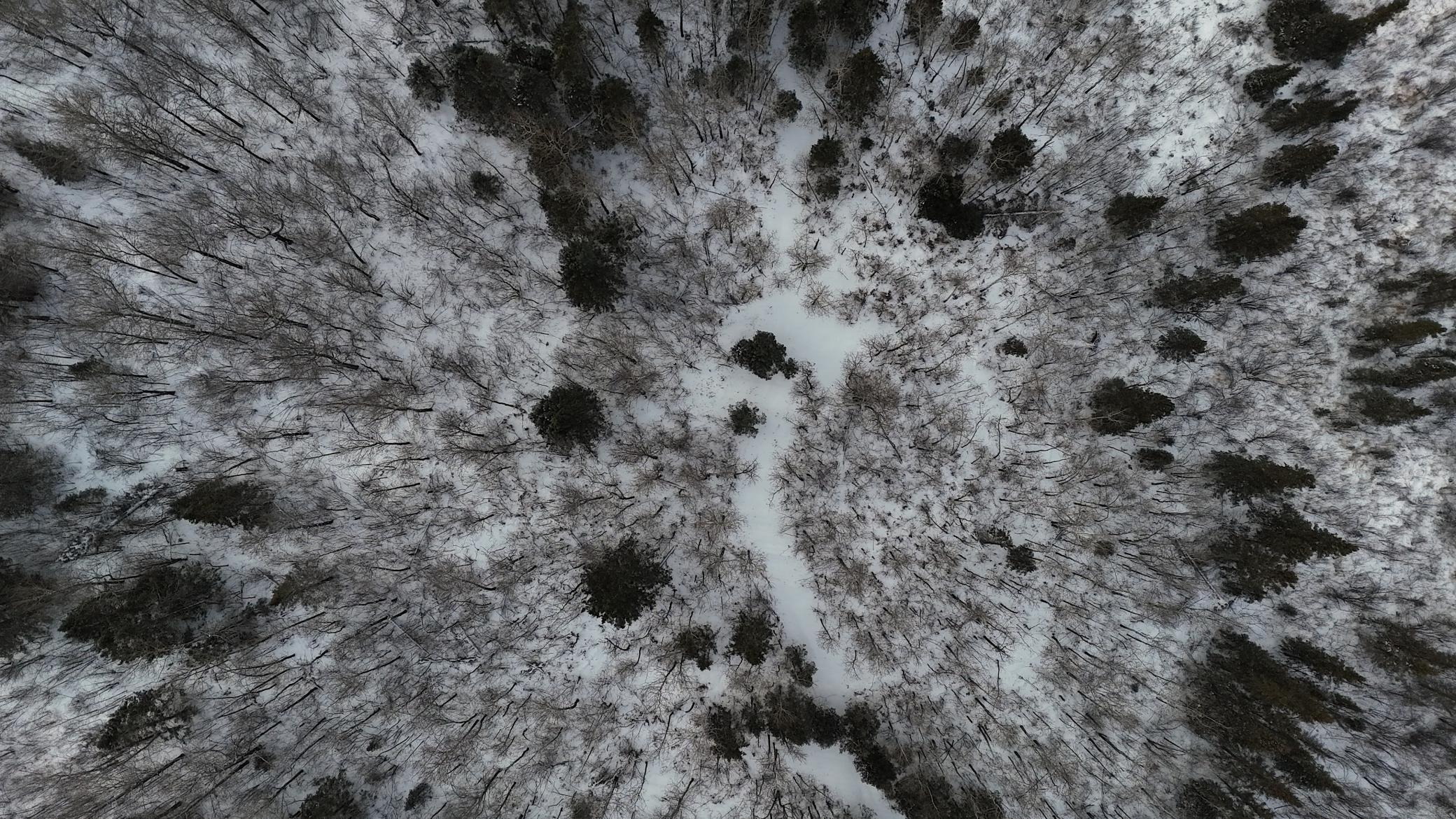 Xxx Zekes Road Schroeder, MN 55613 - Photo 32 of 38