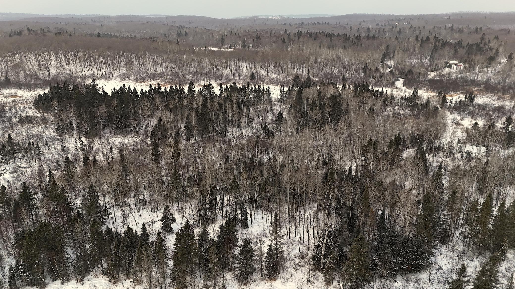 Xxx Zekes Road Schroeder, MN 55613 - Photo 33 of 38