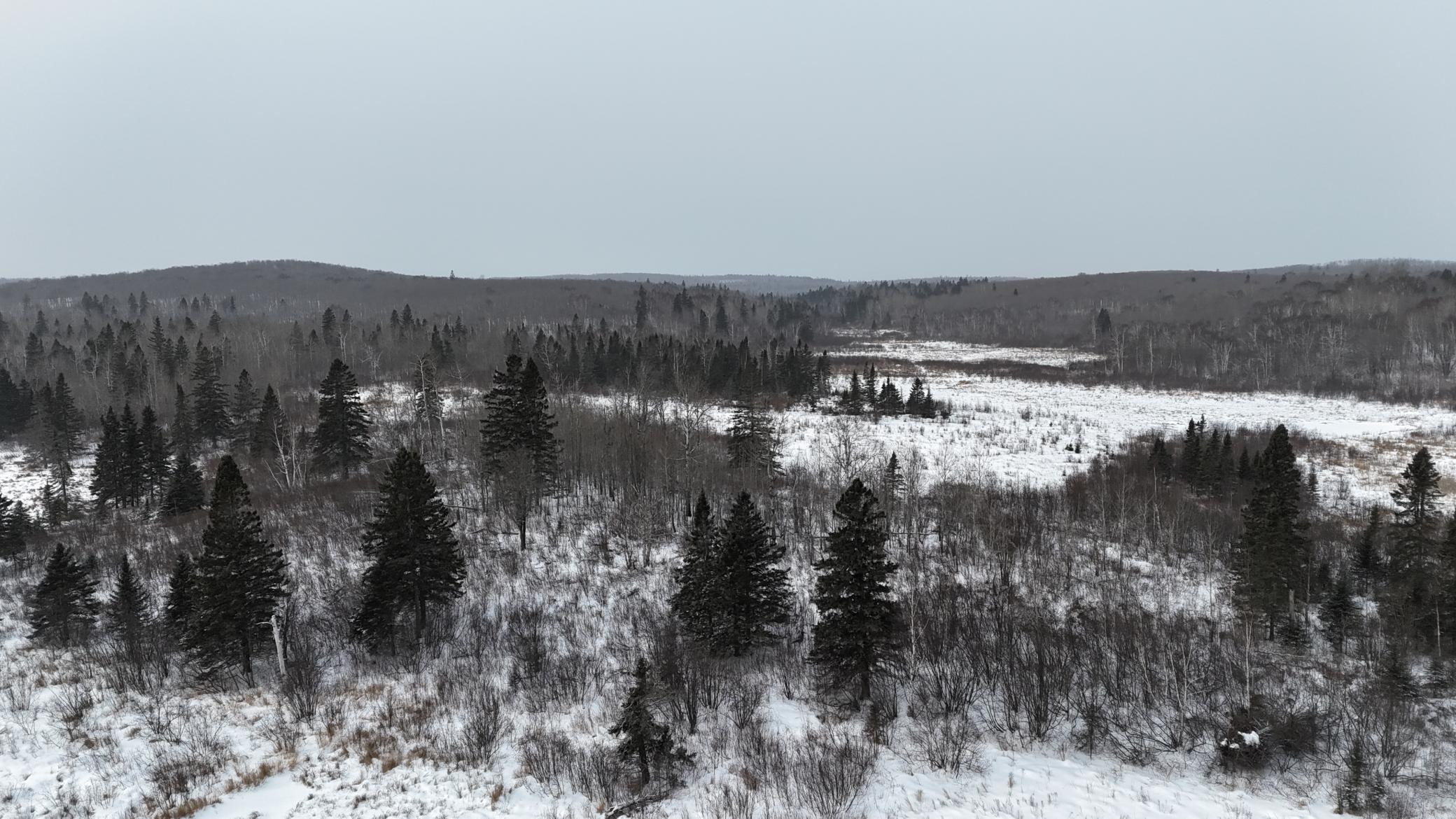 Xxx Zekes Road Schroeder, MN 55613 - Photo 36 of 38