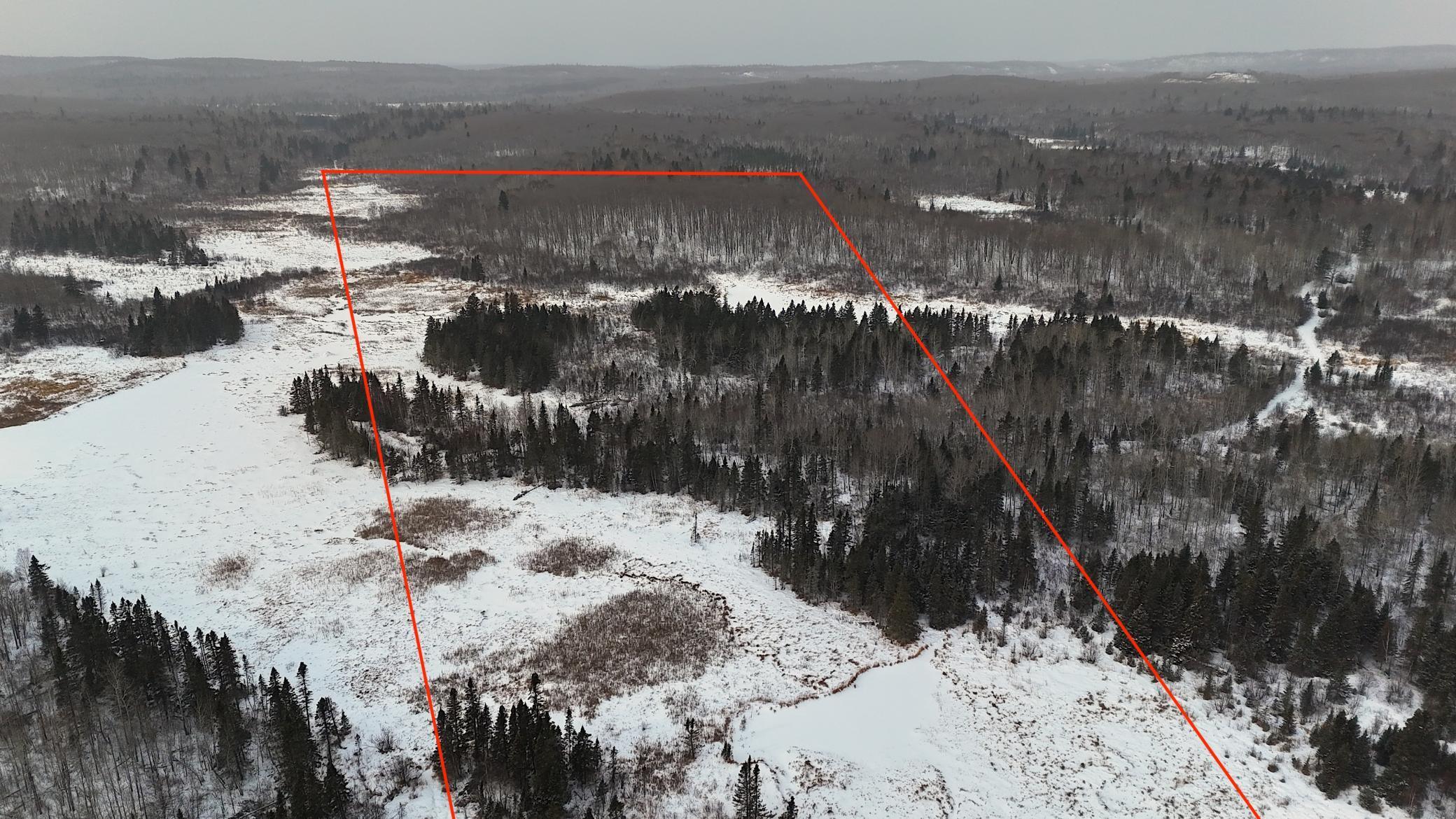 Xxx Zekes Road Schroeder, MN 55613 - Photo 4 of 38